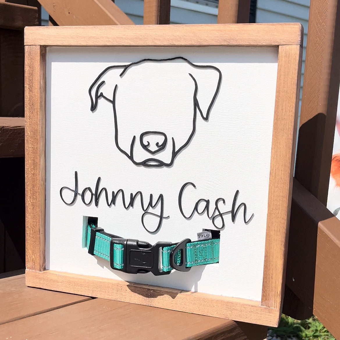 Pet Collar Signs