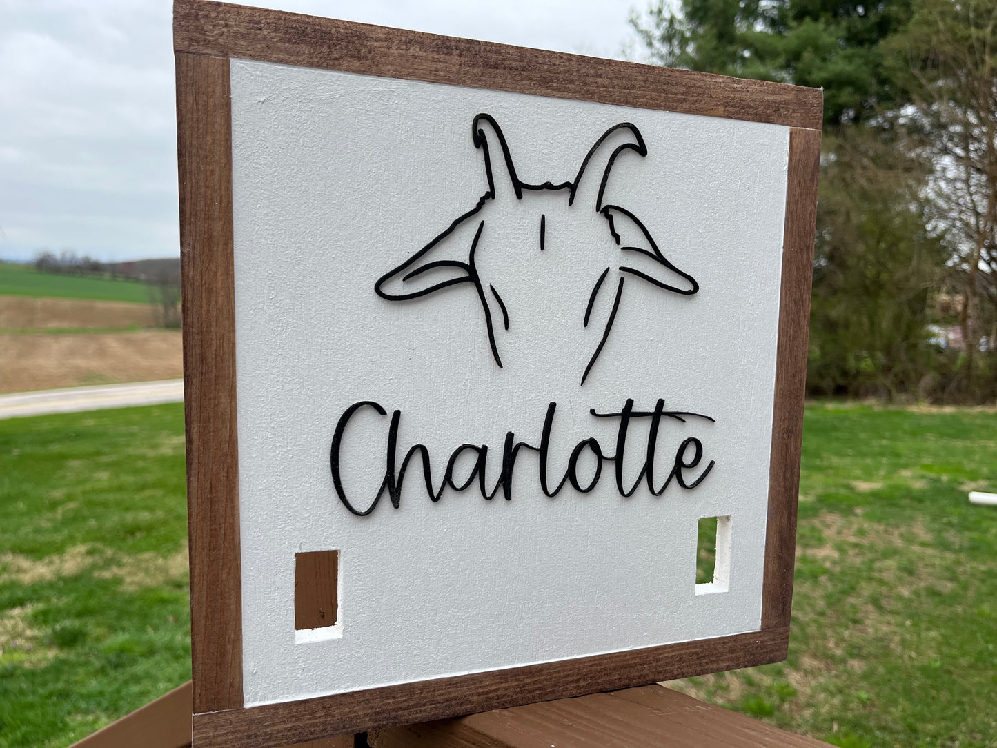 Pet Collar Signs