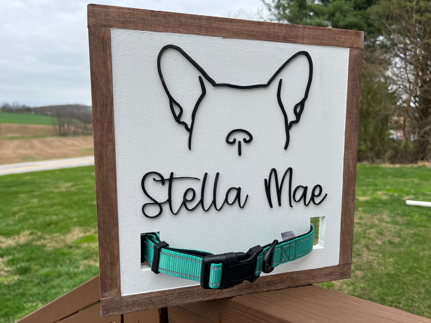 Pet Collar Signs
